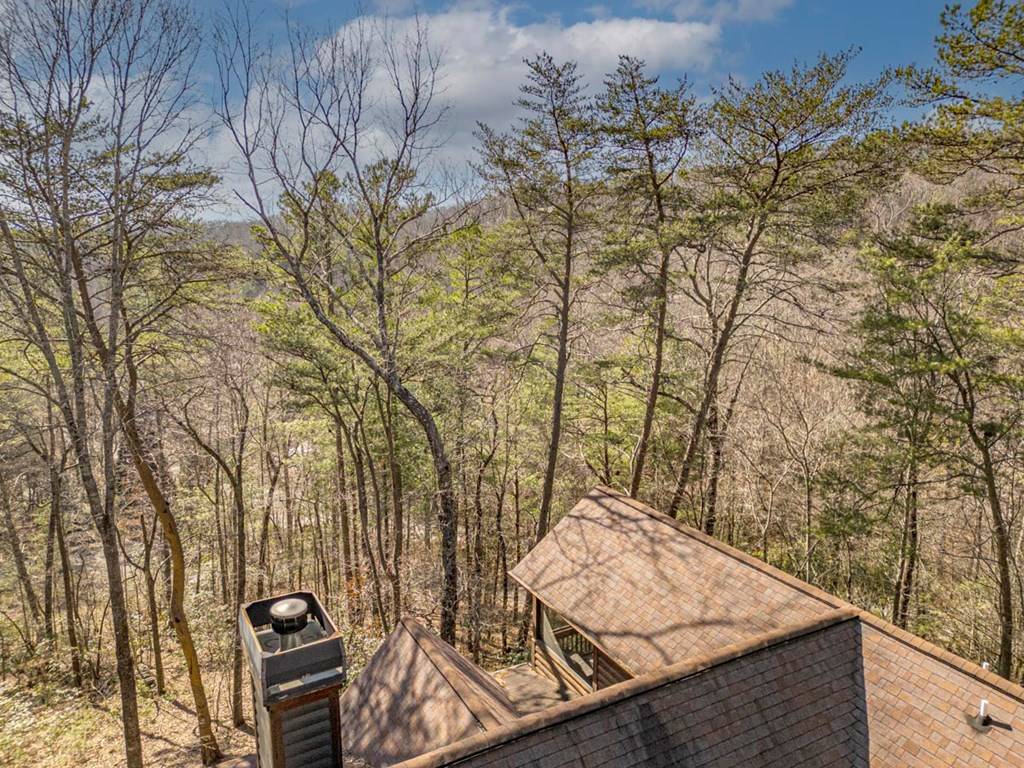Cherry Log, GA 30522,35 Leatherwood Mountain Road