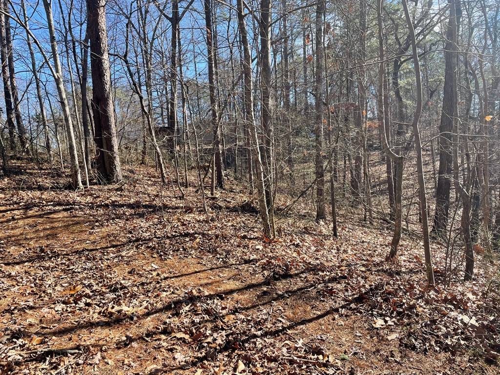 Talking Rock, GA 30175,01 Old Federal Road