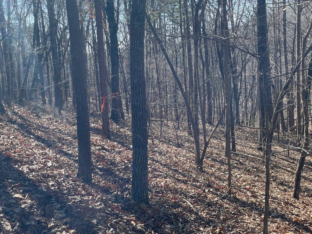 Talking Rock, GA 30175,01 Old Federal Road