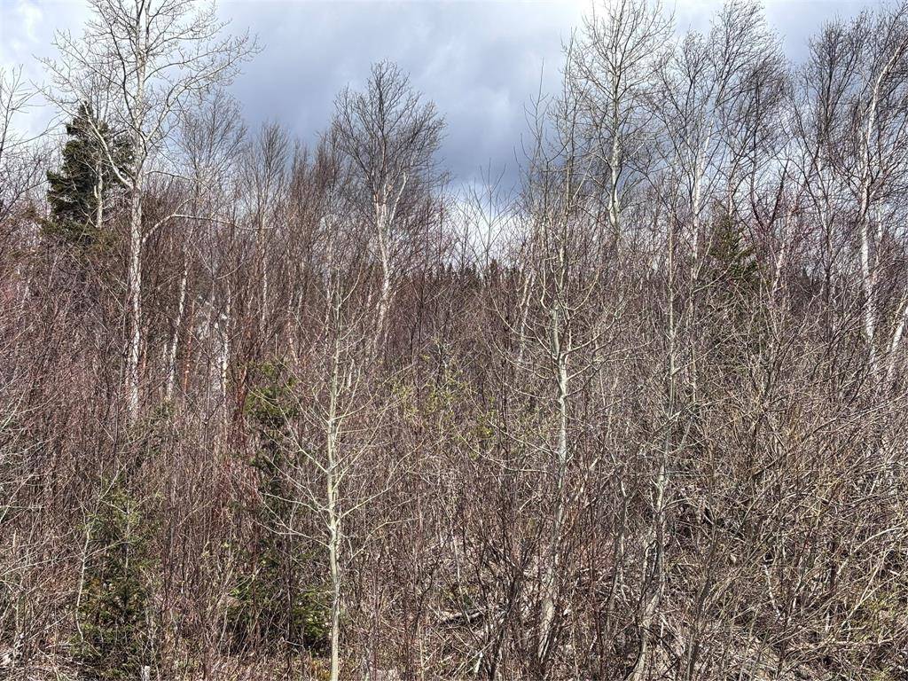 Clarenville, NL A5A4H1,Lot 5 Glenview Estates Extension