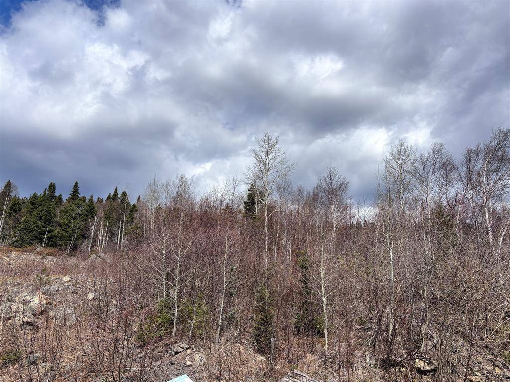 Clarenville, NL A5A4H1,Lot 5 Glenview Estates Extension