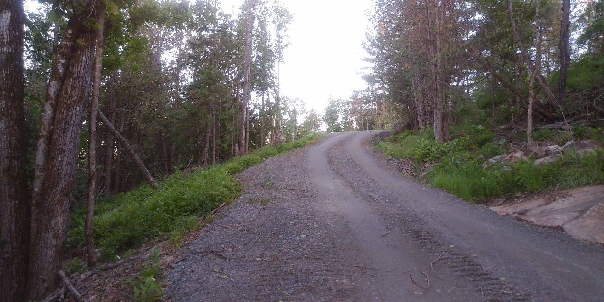 Madawaska Valley, ON K0J 1B0,47 Arbor Vitae RD E