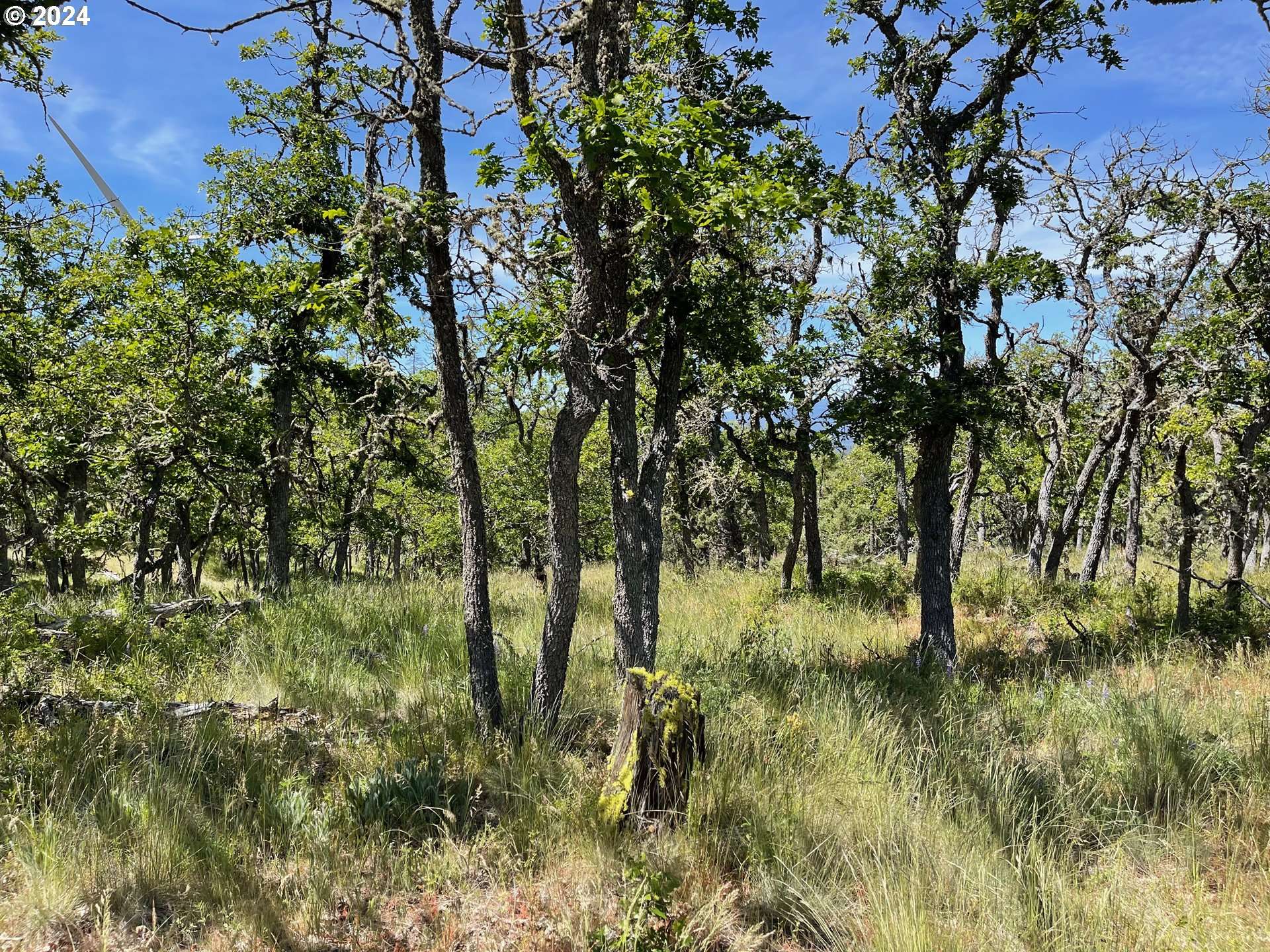 Goldendale, WA 98620,30 COLUMBIA HILLS LN