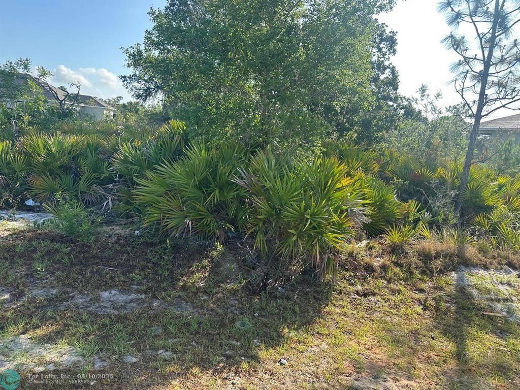 Sebring, FL 33872,6022 Nevada St