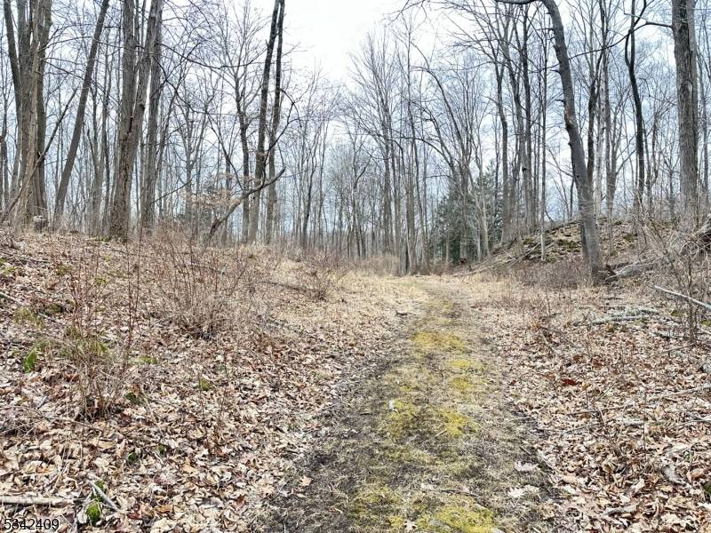 Frelinghuysen Twp., NJ 07821,16 South St