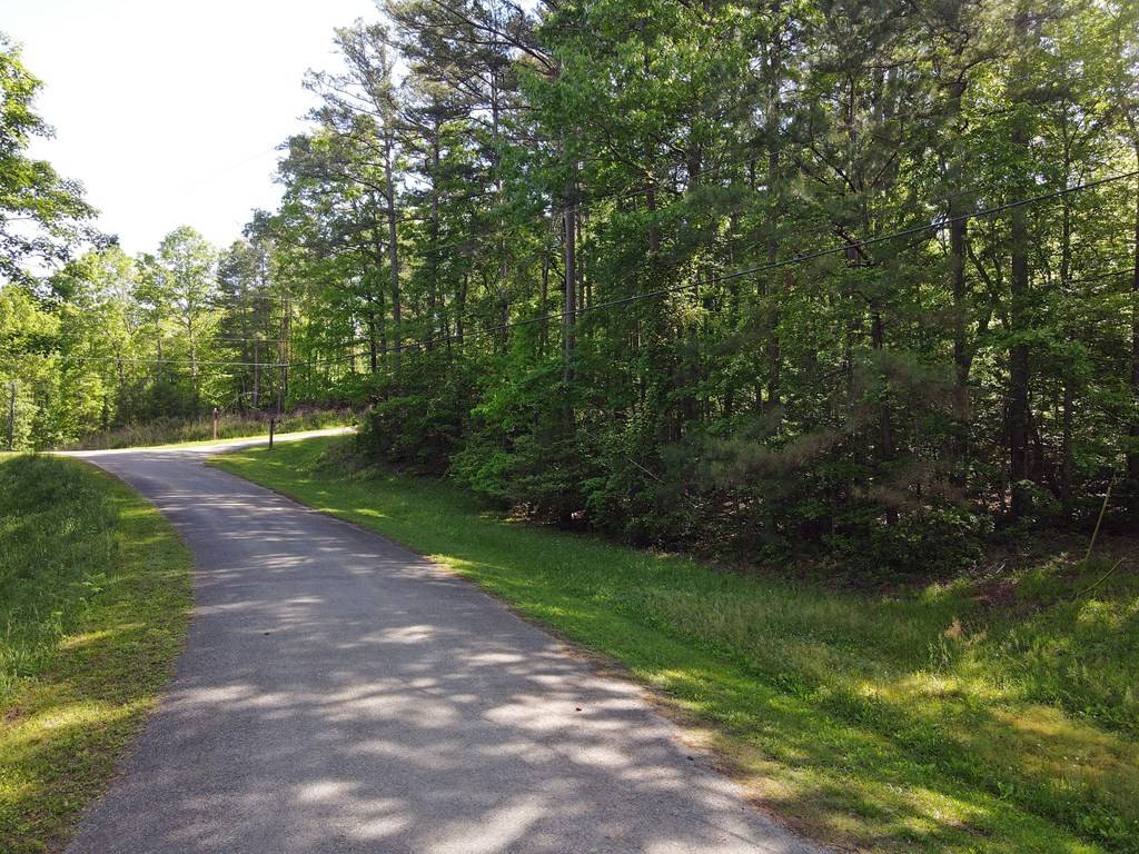 Ellijay, GA 30540,Lot 164R High River