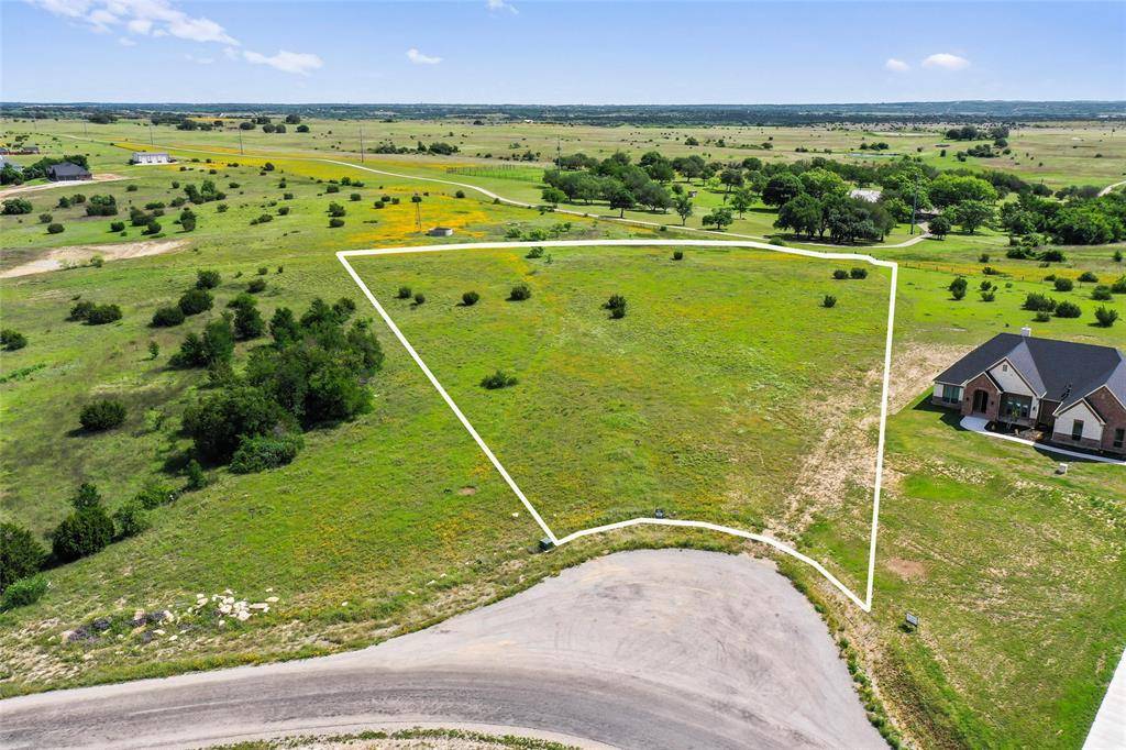 Hudson Oaks, TX 76087,1015 Kingsley Court