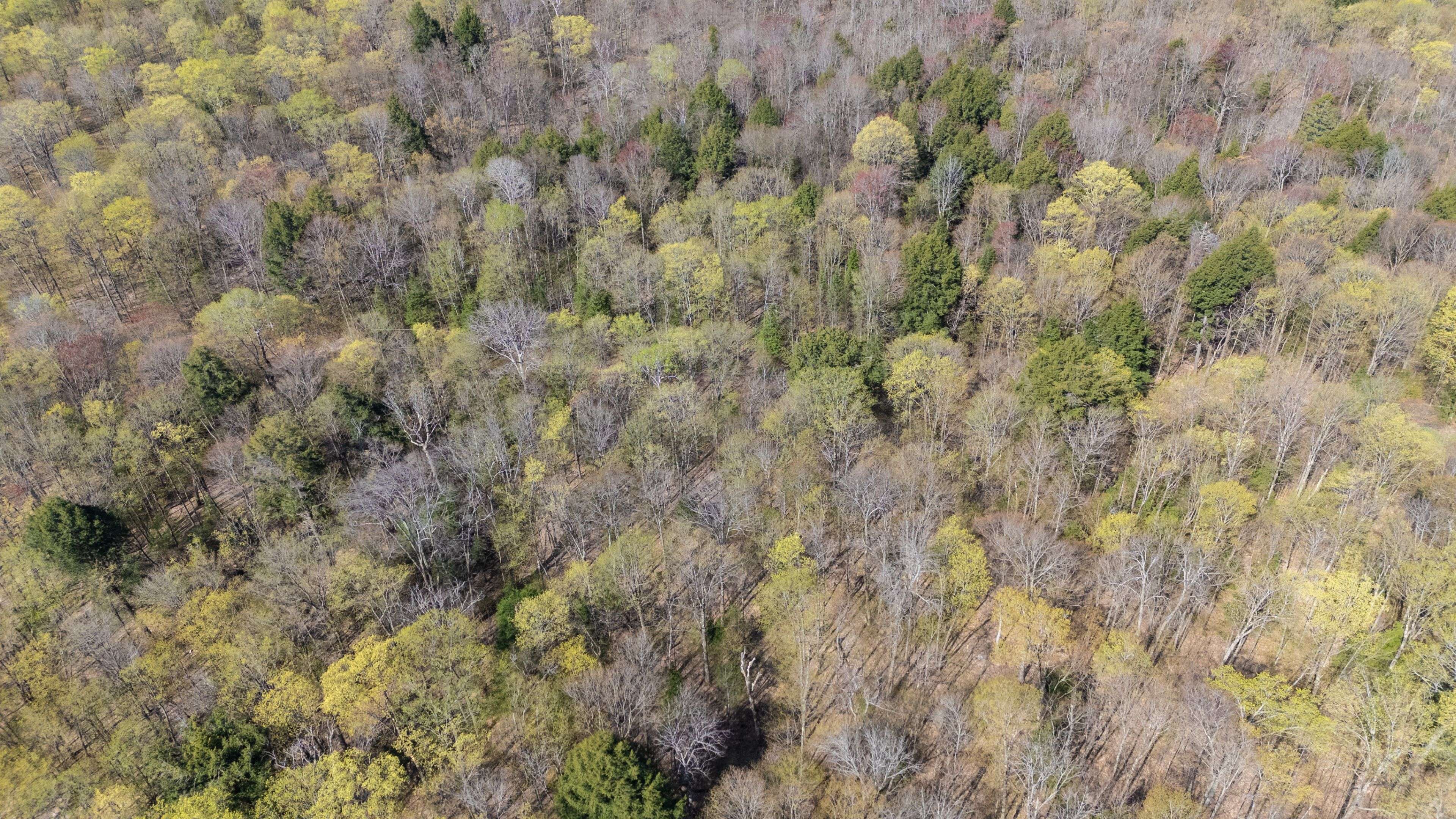 Highlands East, ON K0L 3K0,2494 Hadlington RD