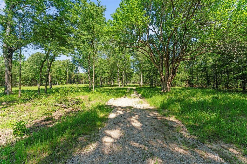 Sulphur Bluff, TX 75481,553 County Road 3542