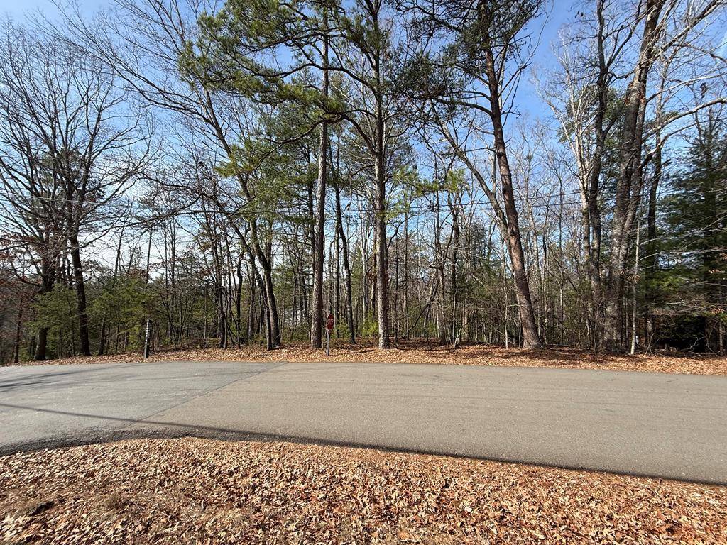 Ellijay, GA 30540,Lot 47 Seneca Drive