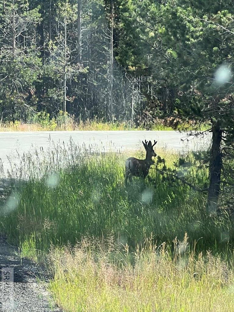 Island Park, ID 83429,4513 JM Loop