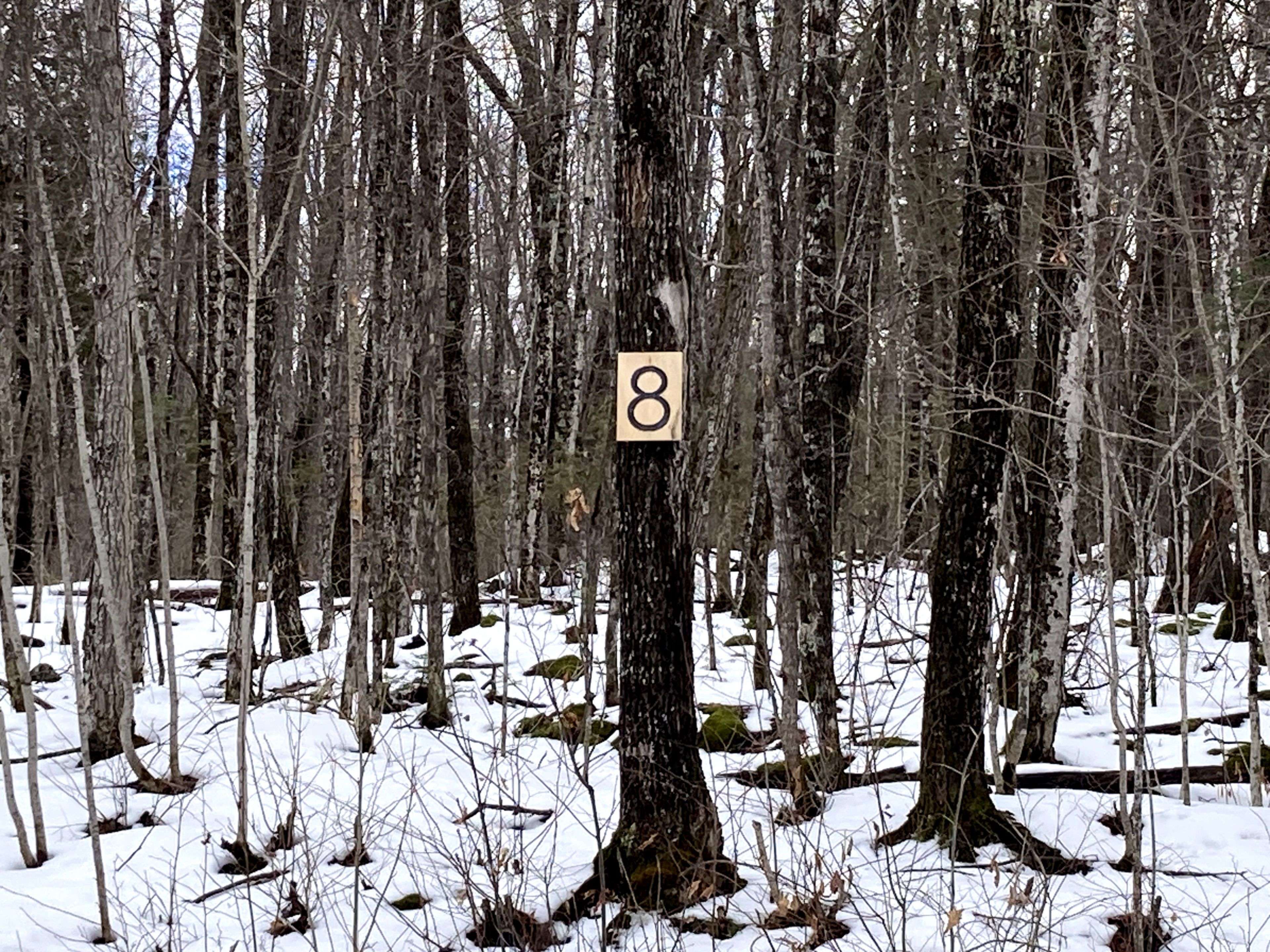 Mcnab/braeside, ON K0A 3L0,Lot 8 Deerfield DR