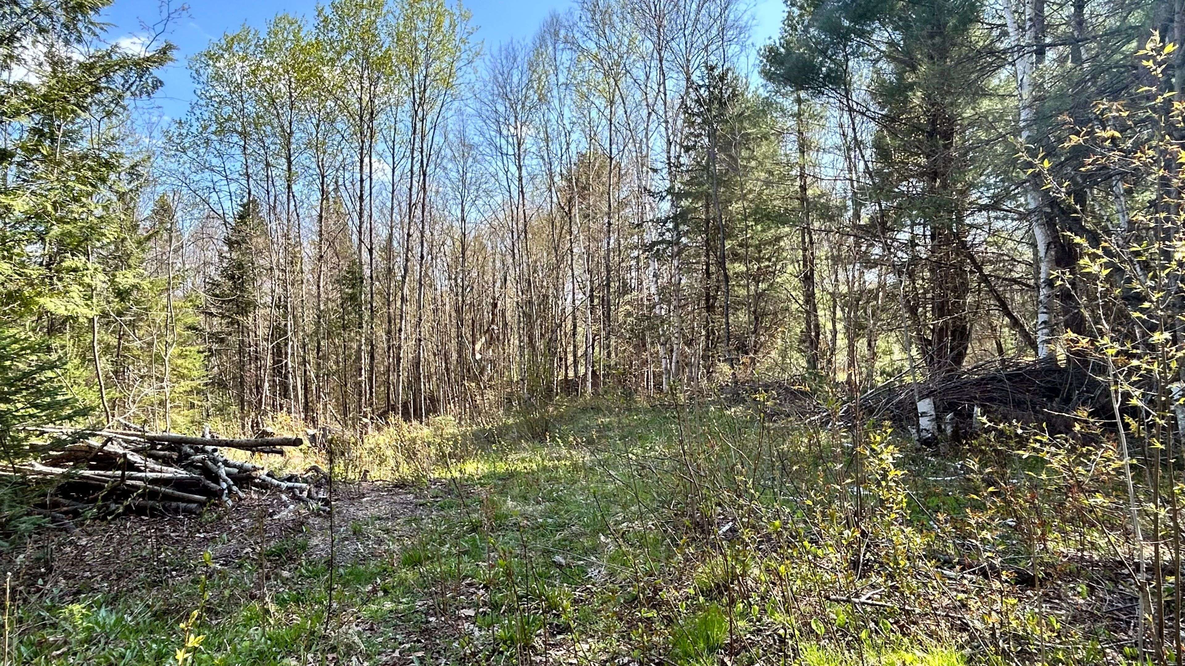 Highlands East, ON K0M 1S0,0 Ursa RD
