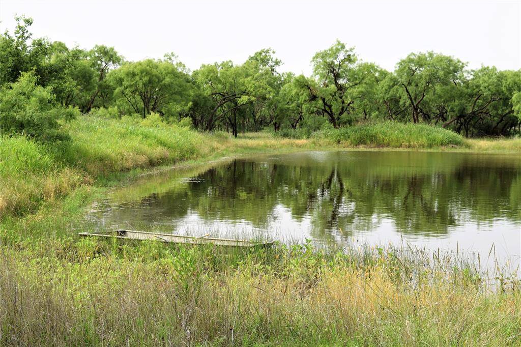 Coleman, TX 76834,351 County Road 126