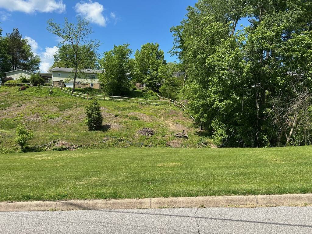 Moundsville, WV 26041,TBD Lot A Sandy Avenue