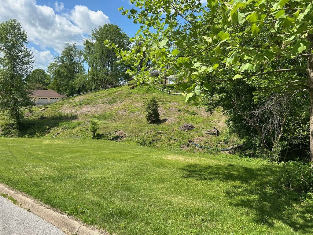 Moundsville, WV 26041,TBD Lot A Sandy Avenue