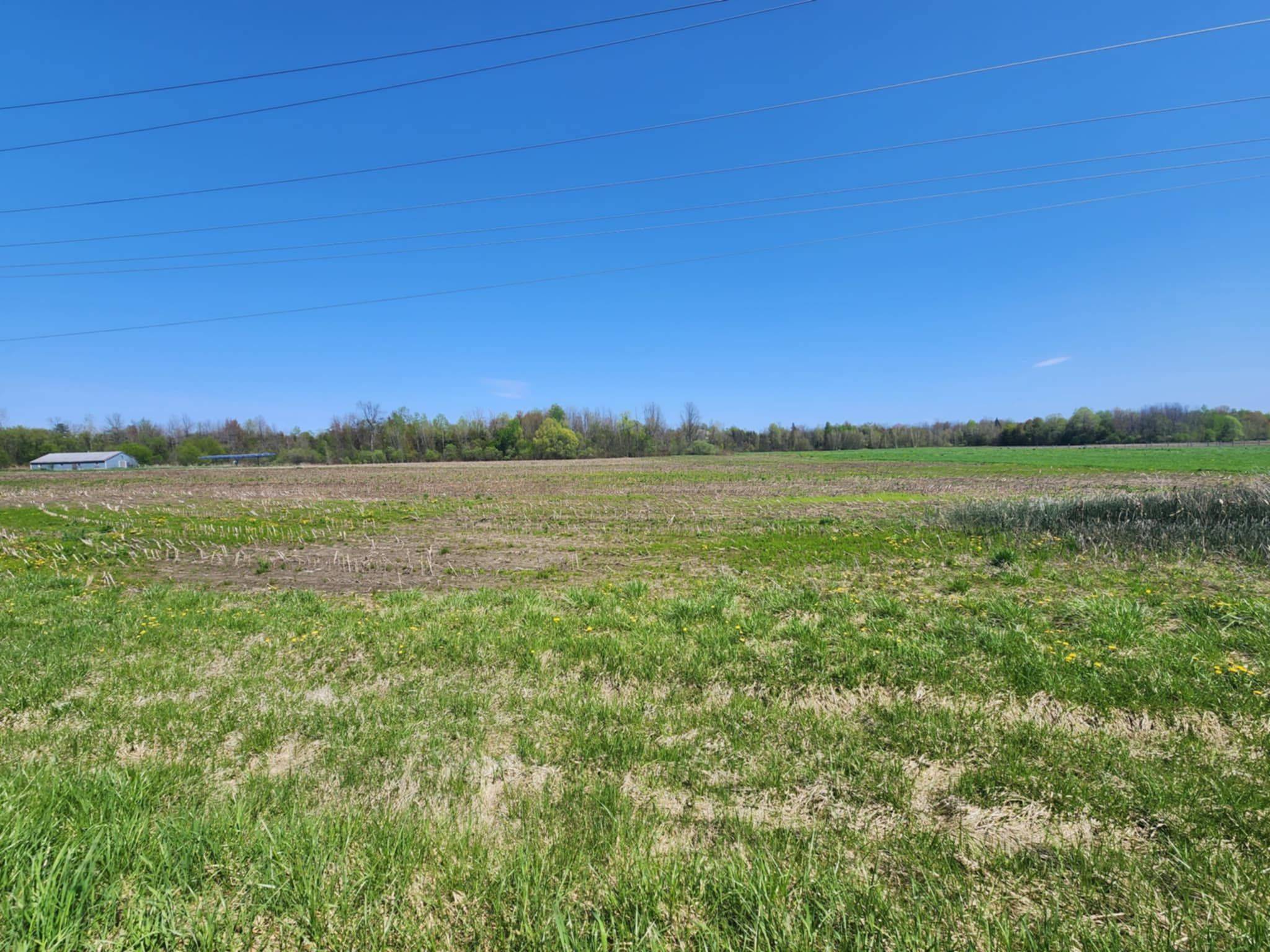 Edwardsburgh/cardinal, ON K0E 1X0,0 Weir RD