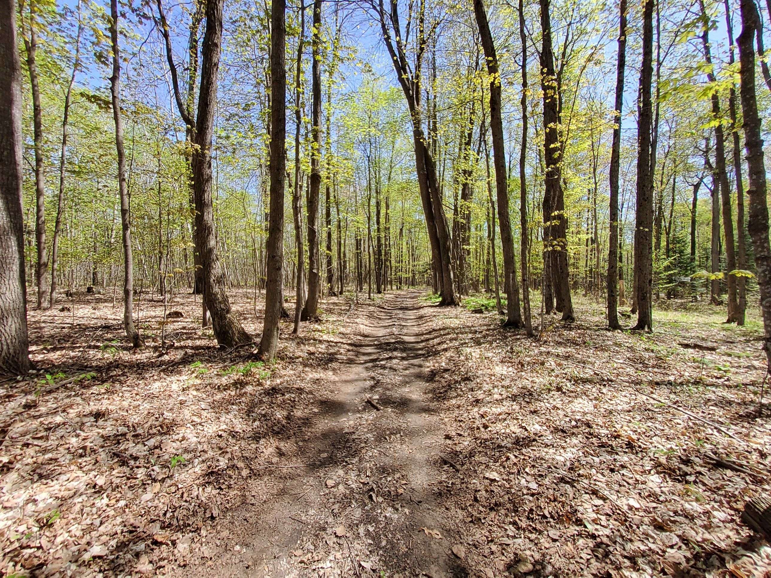 Edwardsburgh/cardinal, ON K0G 1T0,0 Totem Ranch RD