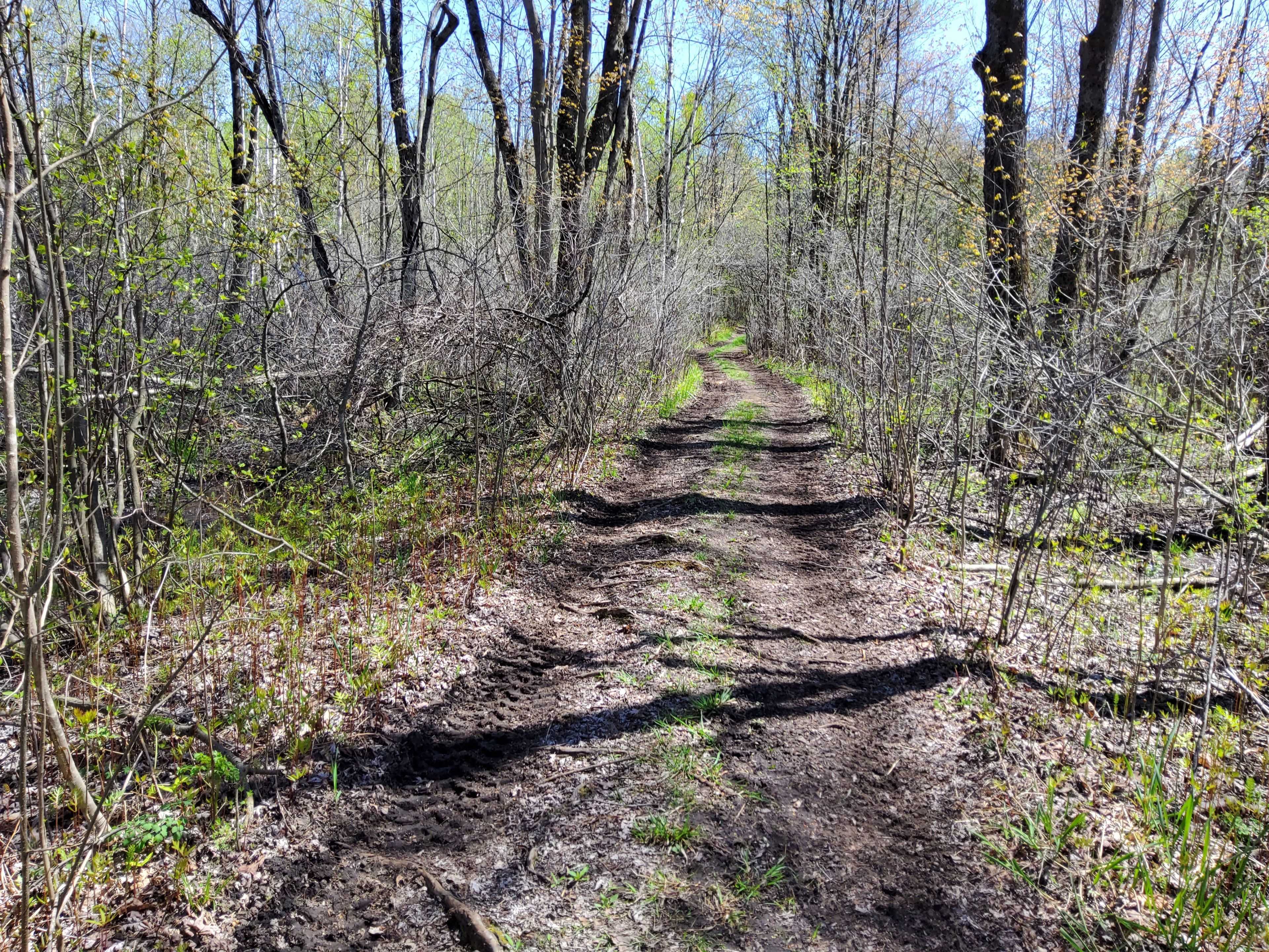 Edwardsburgh/cardinal, ON K0G 1T0,0 Totem Ranch RD