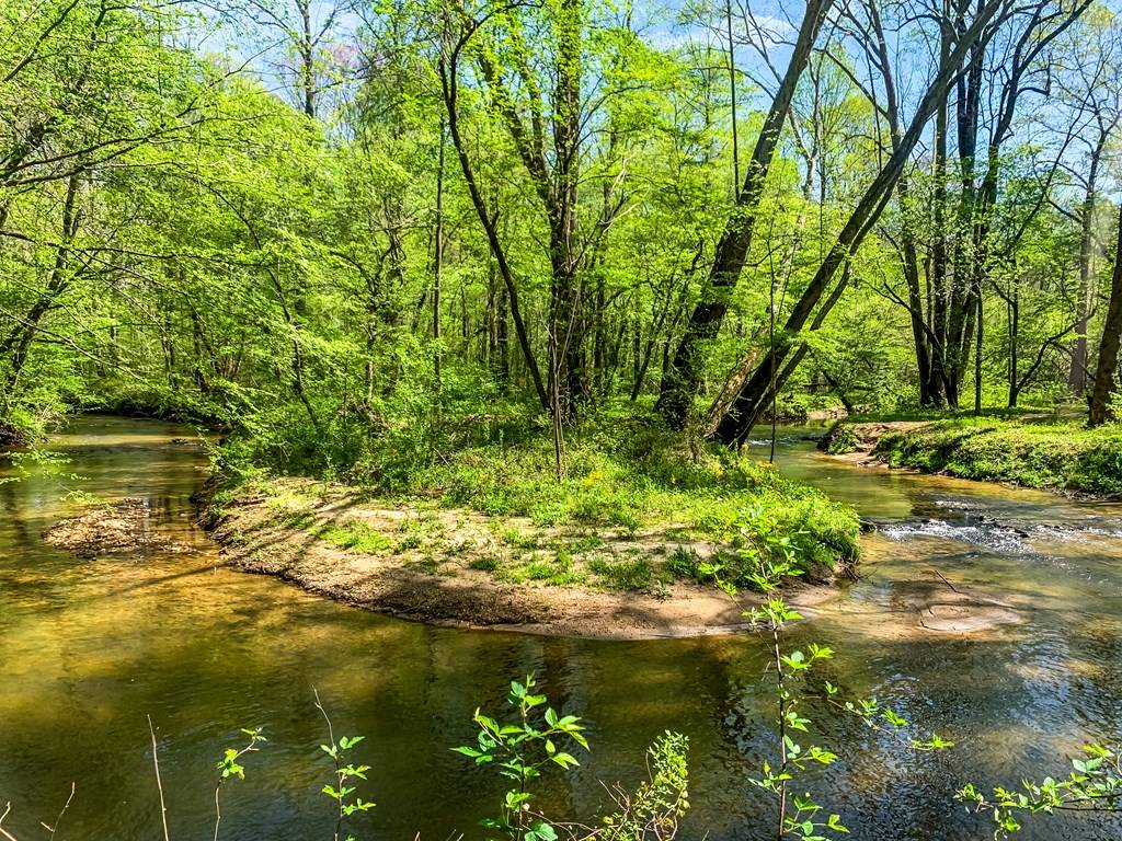 Ellijay, GA 30536,428 Licklog Road