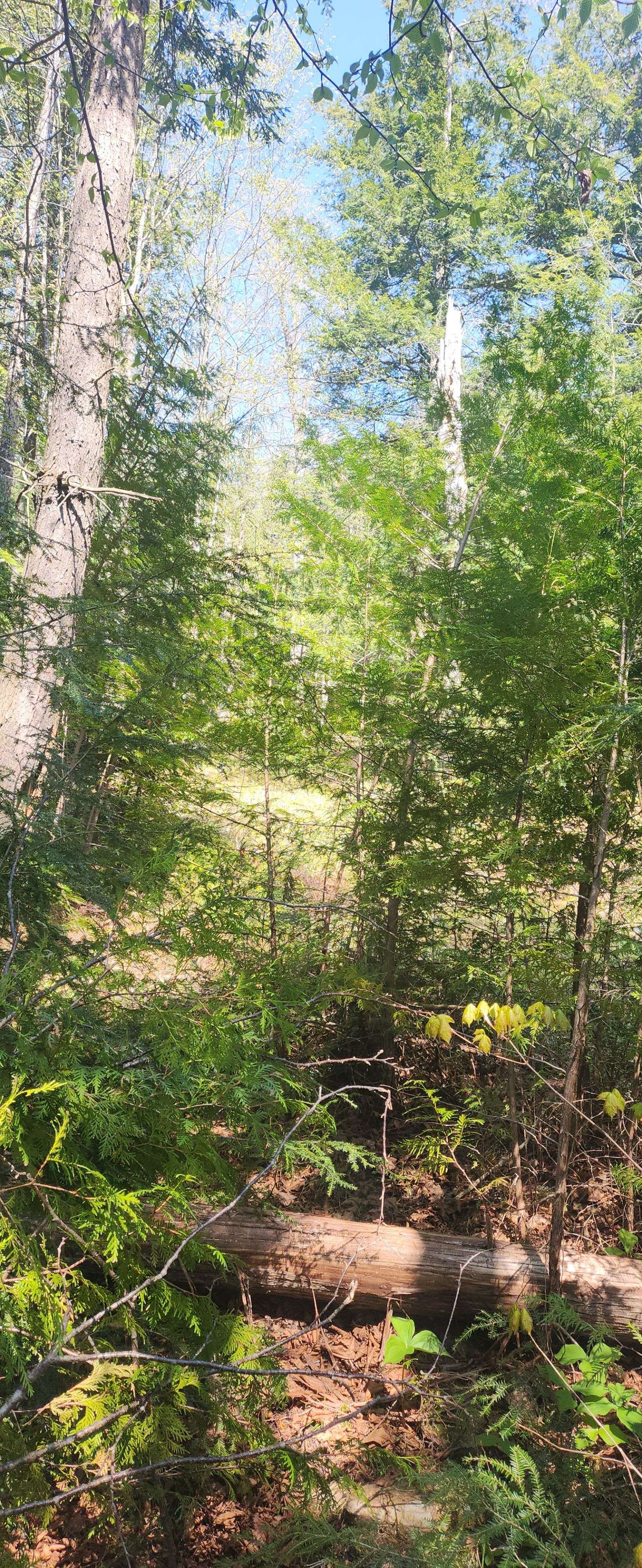Havelock-belmont-methuen, ON K0L 1Z0,00 Fire Route 67 N/A