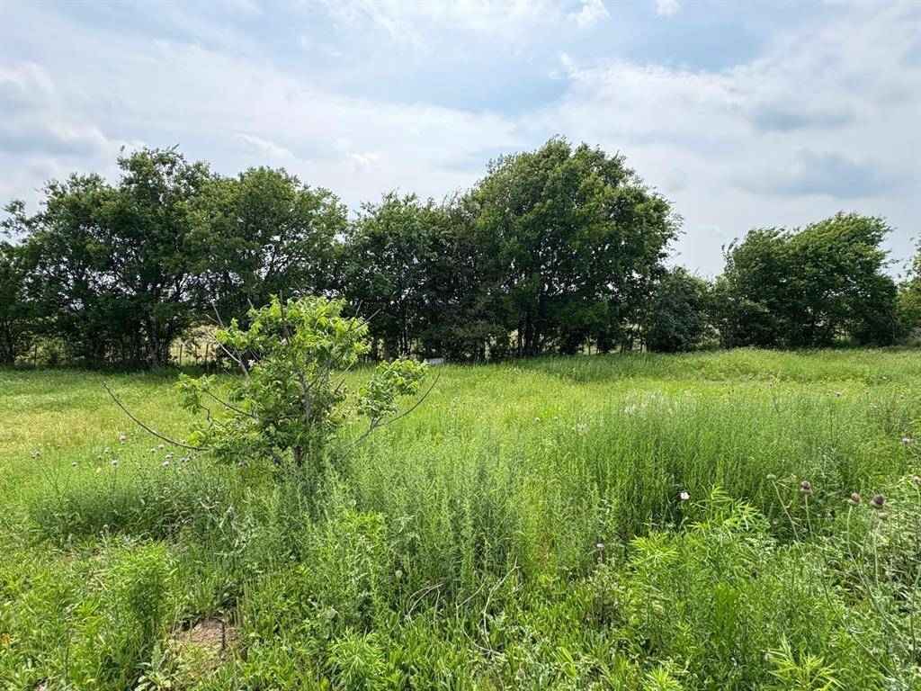 Coolidge, TX 76635,TBD County Road 215