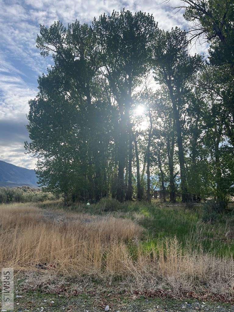 Mackay, ID 83251,B1L10 Lasso Loop Road