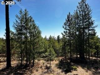 Goldendale, WA 98620,1 Orchard Heights RD