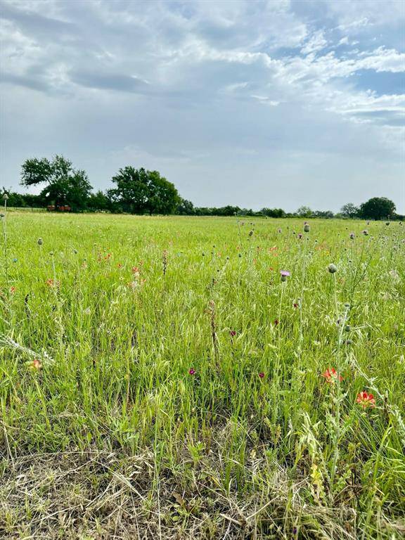 Santo, TX 76472,TBD Sadie Ln