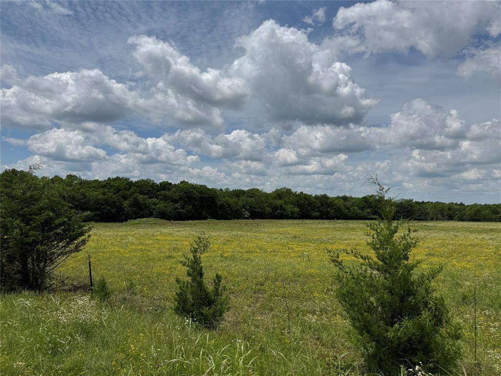 Dodd City, TX 75438,1234 County Road 2905