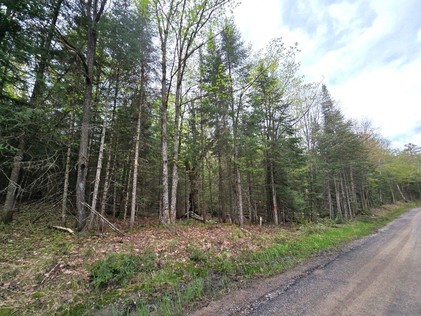 Kearney, ON P0A 1M0,Part 6 Echo Ridge RD