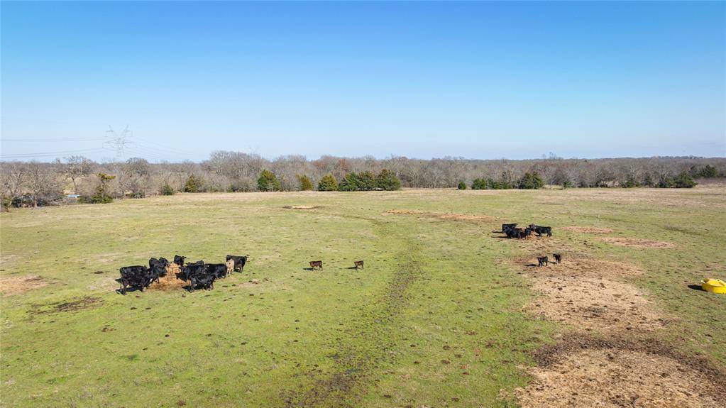 Sulphur Springs, TX 75482,348 County Road 4744