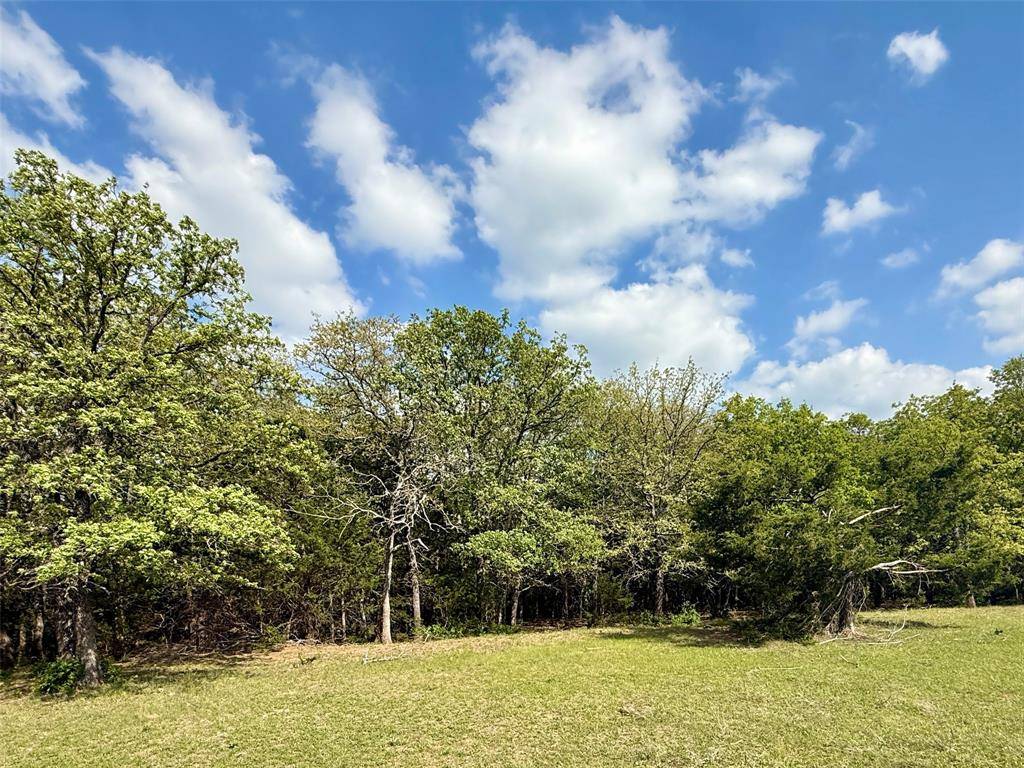 Whitesboro, TX 76273,41.72 acres Brumelow Road