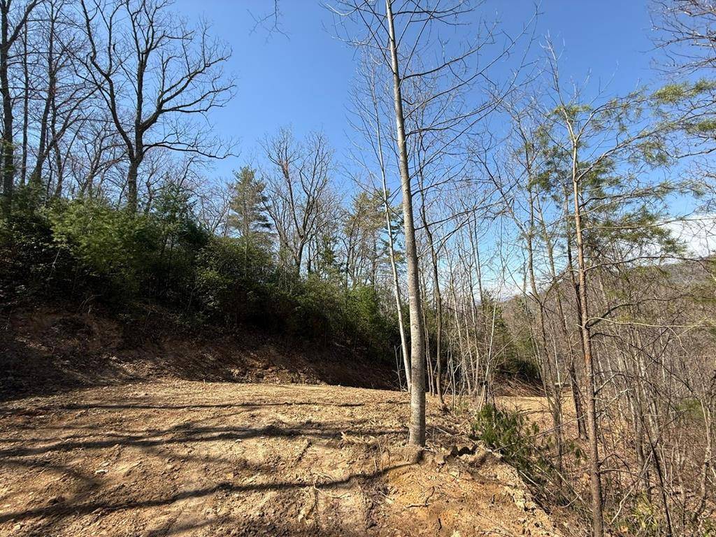 Brasstown, NC 28902,Lot 3 Wild Laurel