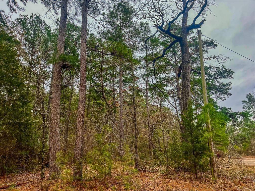 Henderson, TX 75652,0 N CR 102