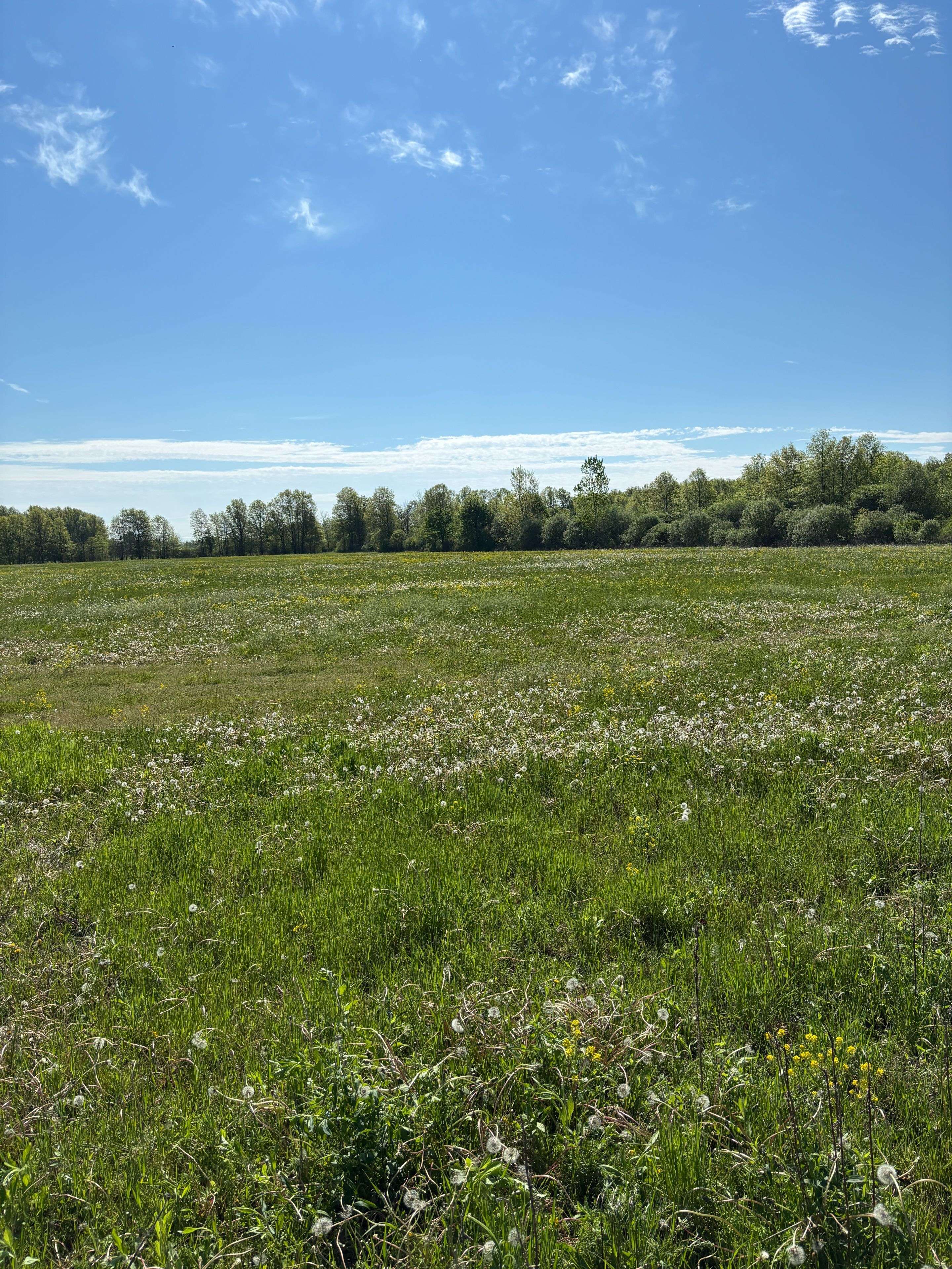 Fort Erie, ON L0S 1S0,2412 Winger RD
