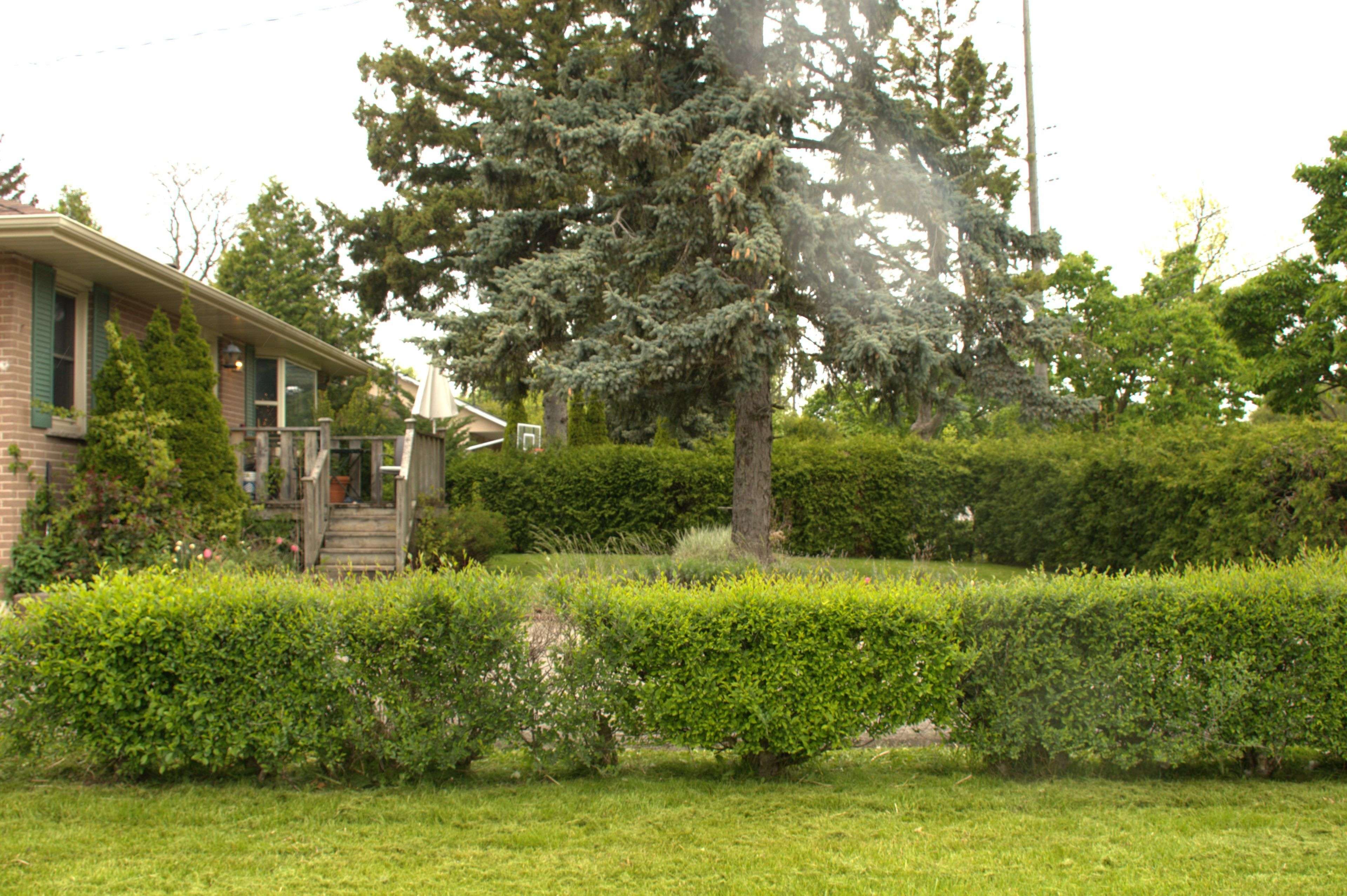 Oakville, ON L6L 4A5,398 Third Line