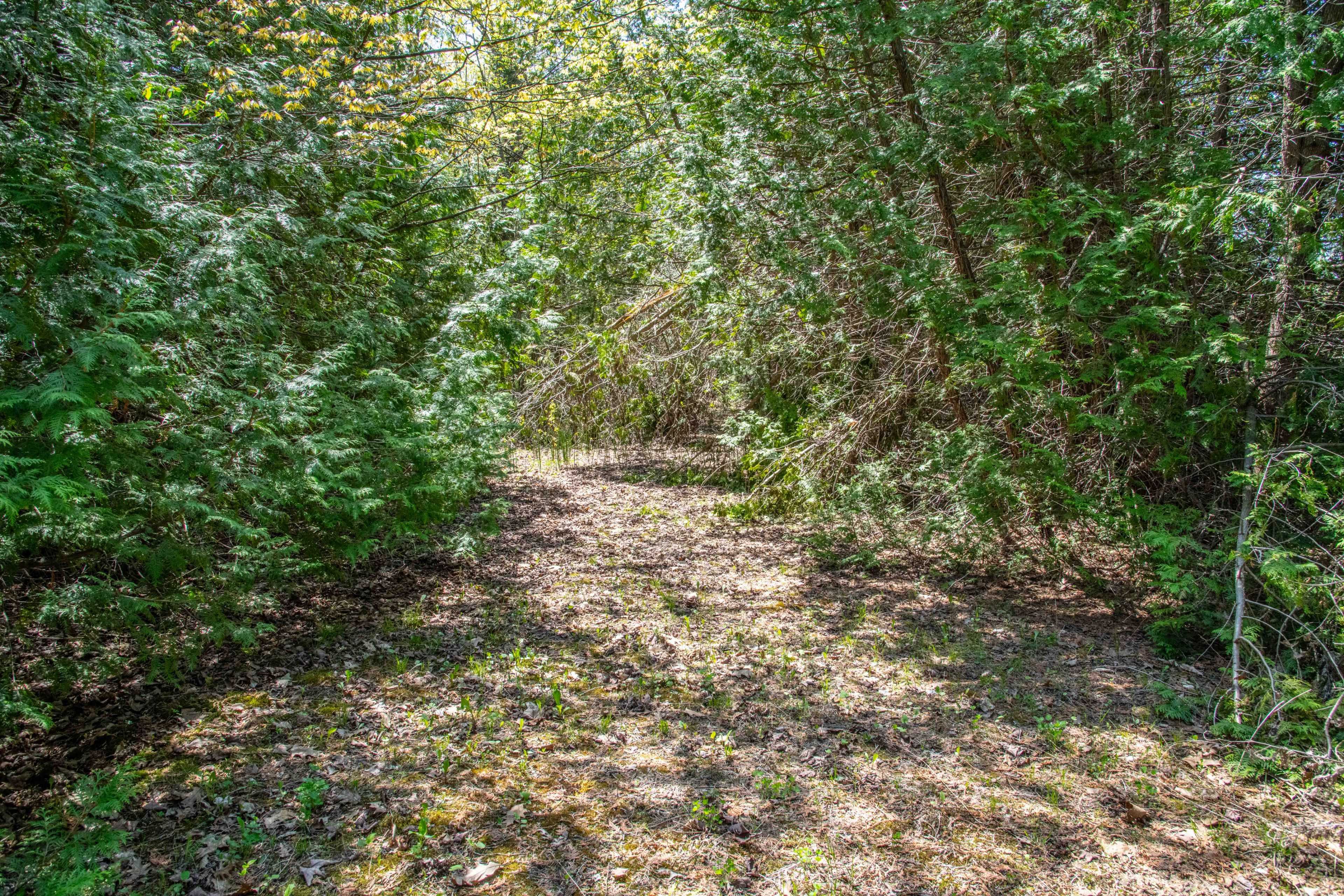 Alnwick/haldimand, ON K0K 1C0,P/L35 Con 5 Bull RD