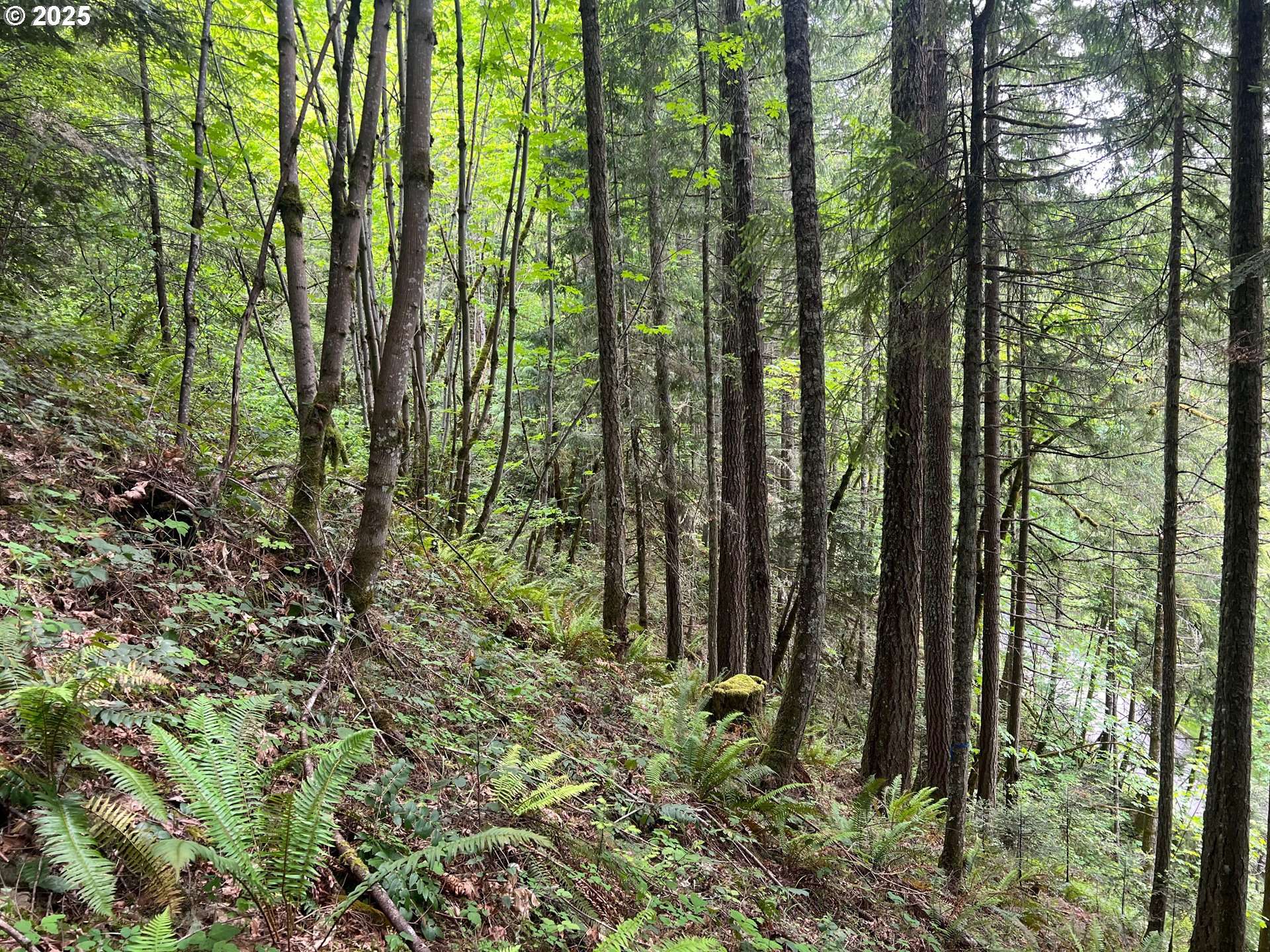 Fall Creek, OR 97438,83715 PENINSULA RD
