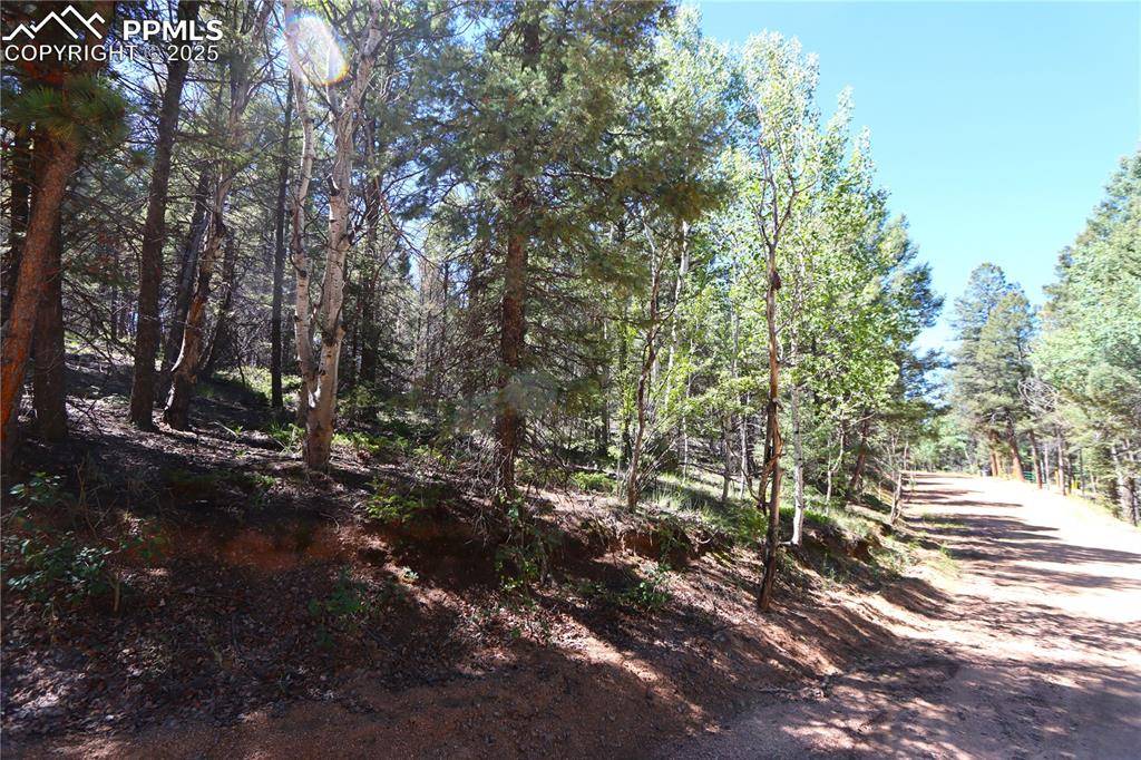 Florissant, CO 80816,Pitchblende RD