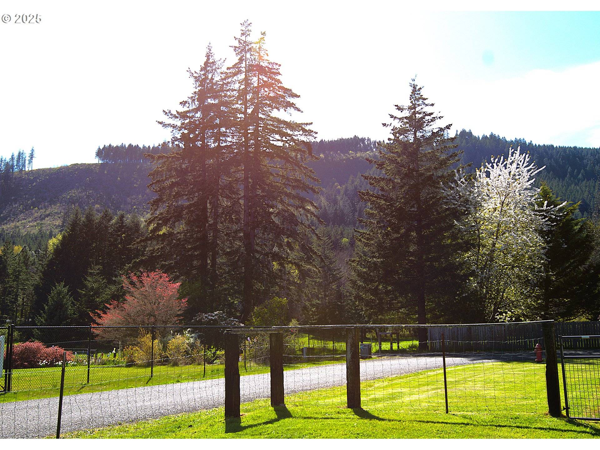 Carson, WA 98610,31 BASTROM RD