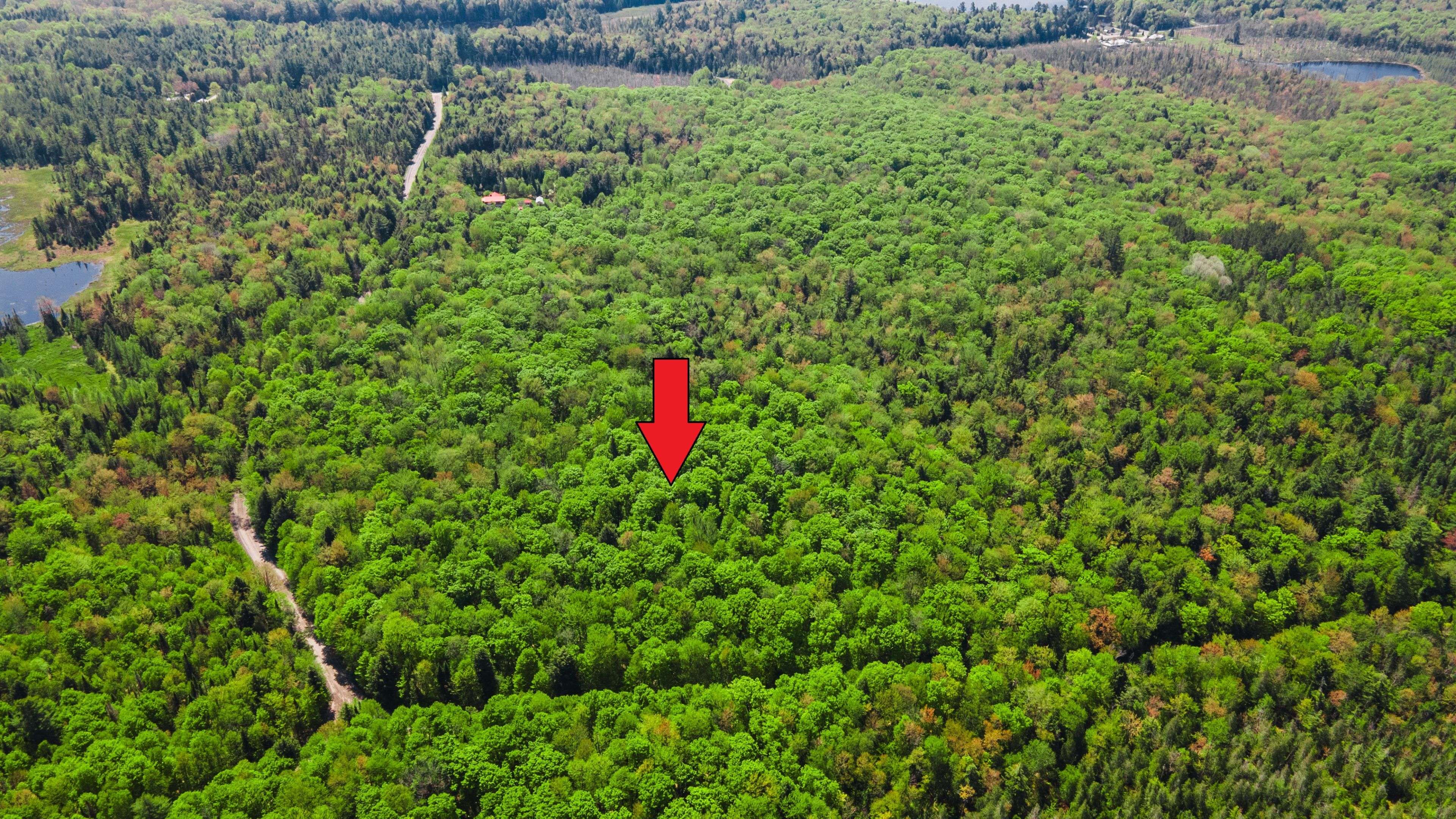 Bracebridge, ON P1L 1X3,0 Healey Lake RD