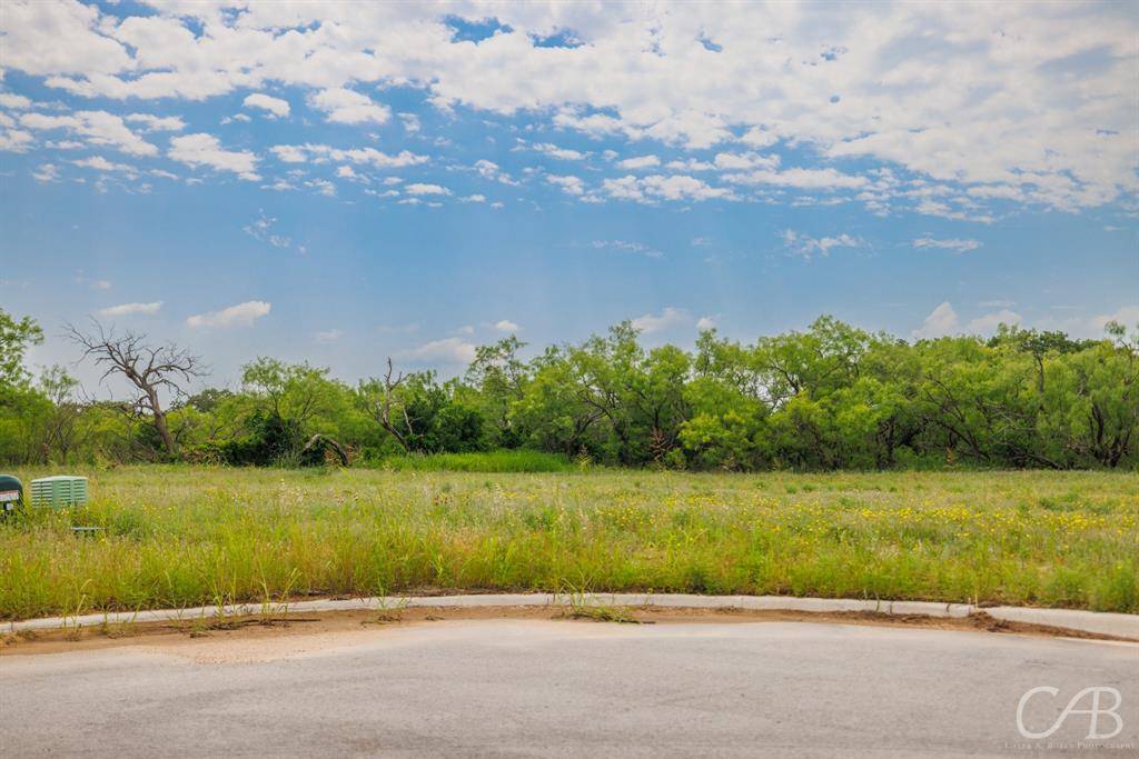 Clyde, TX 79510,6 Tarus Circle
