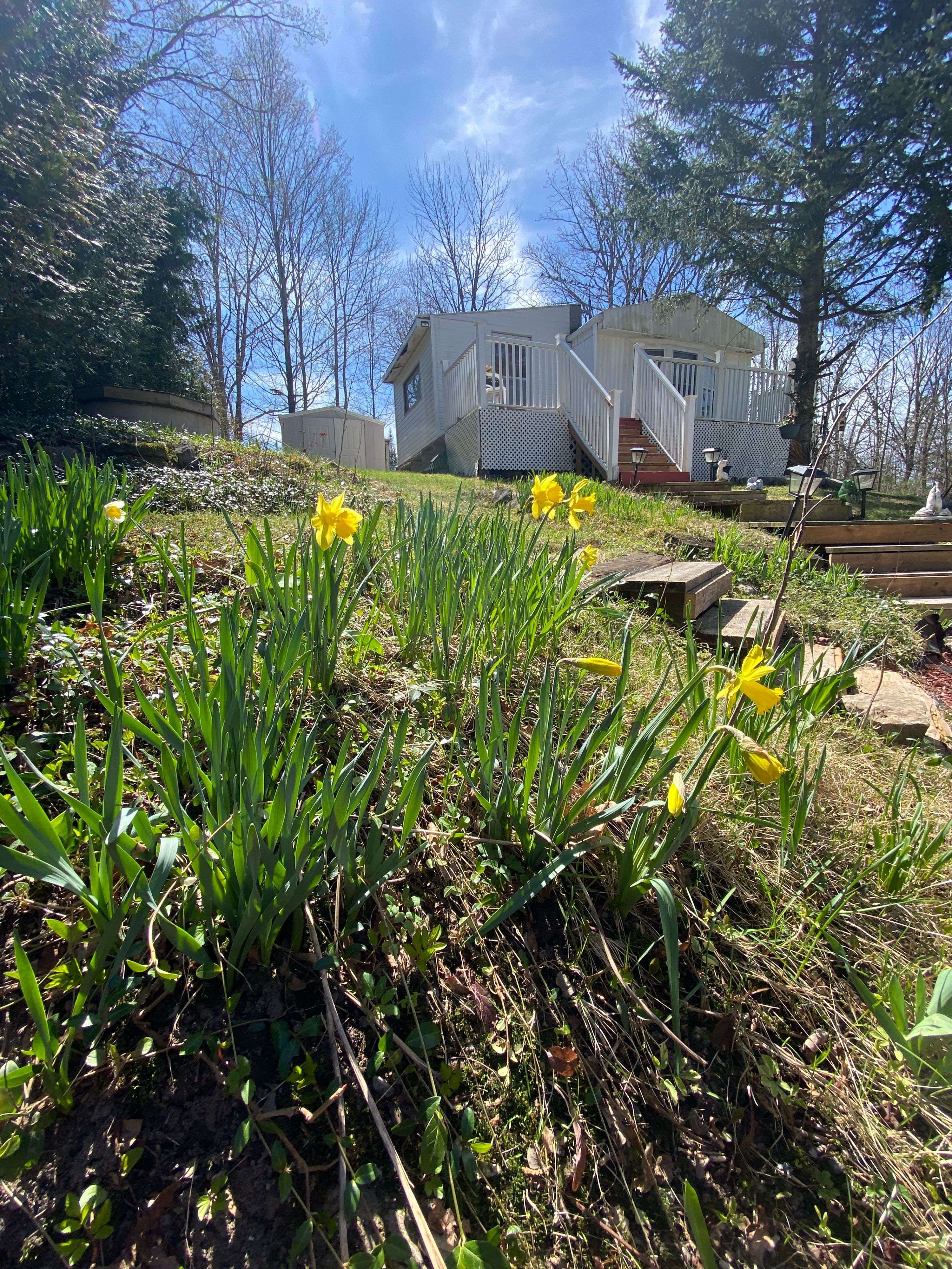 Trent Hills, ON K0K 2M0,67 Cedar LN