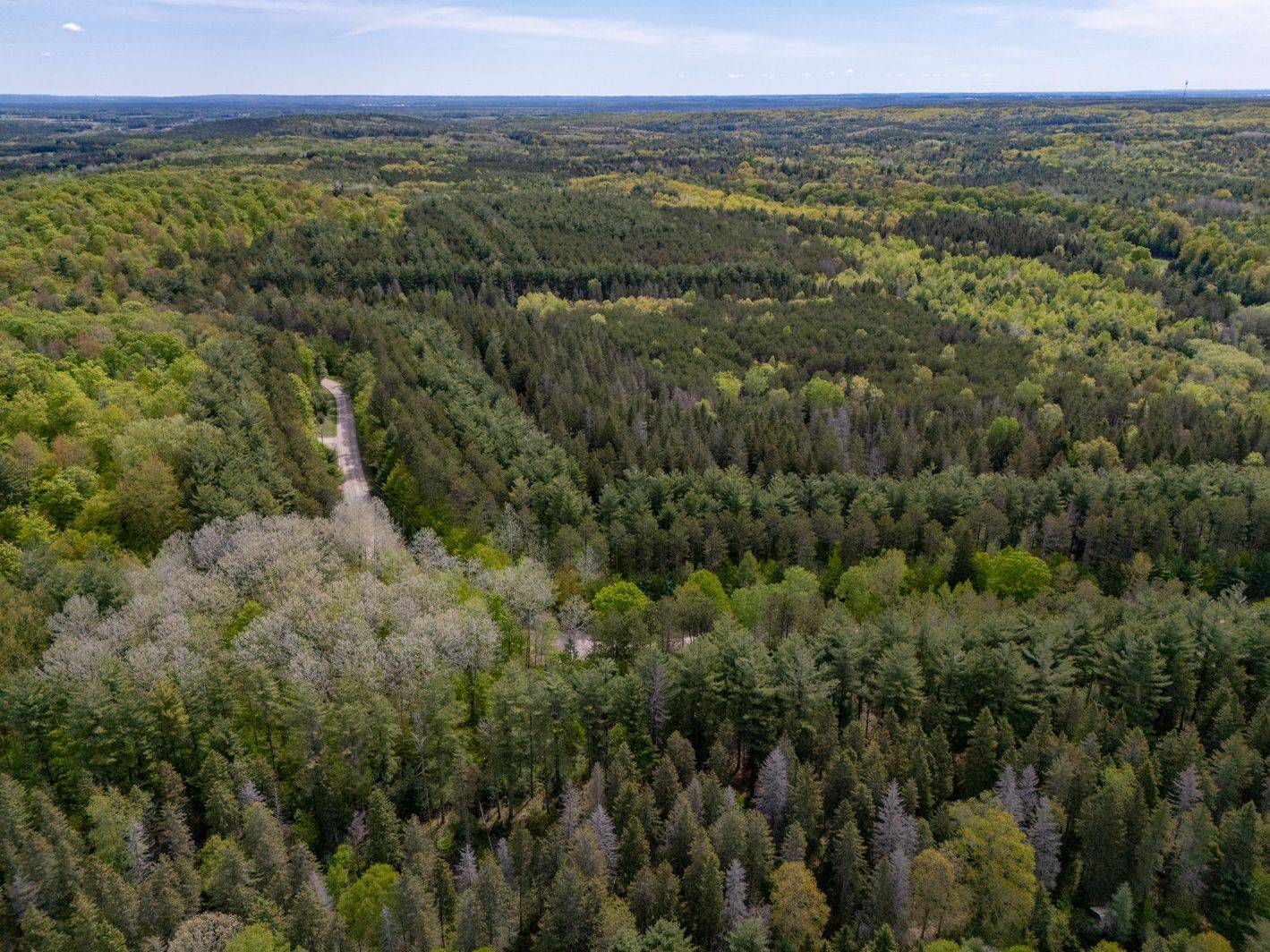 Mulmur, ON L9V 0J6,PT 2 LT 24 4th Line E