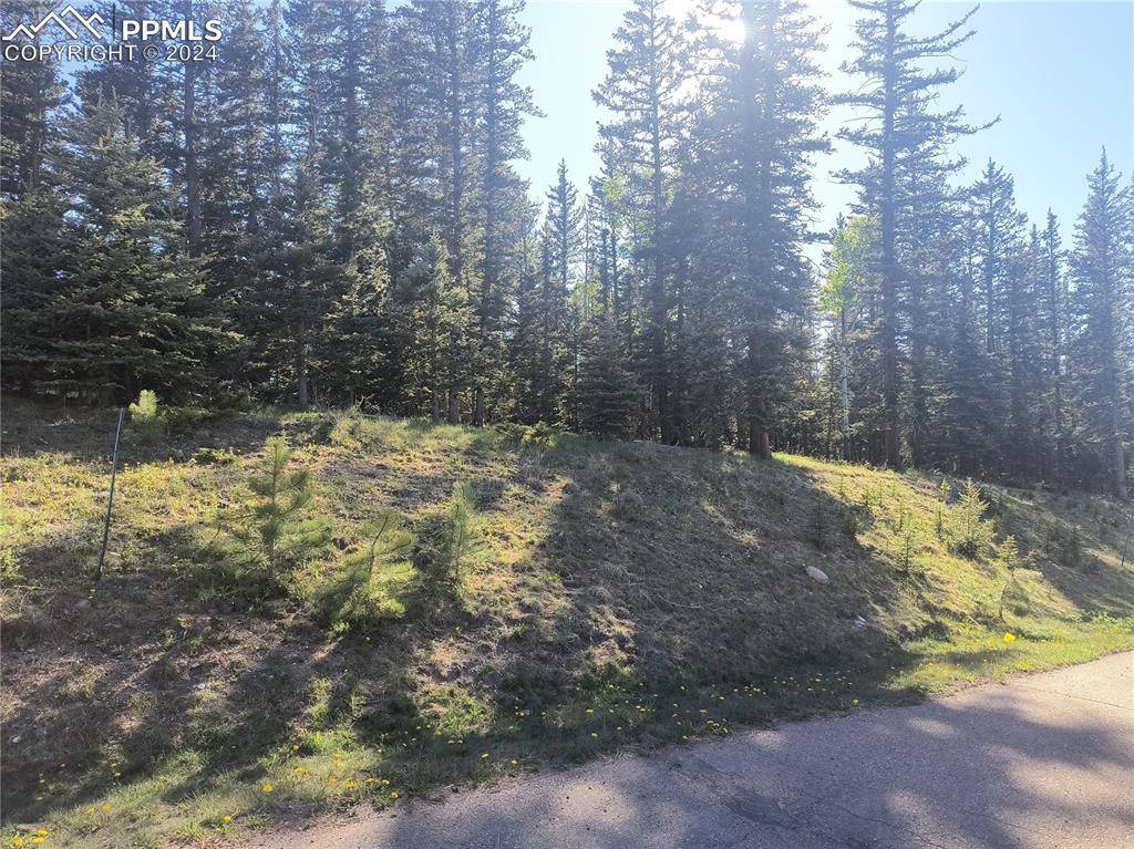 Divide, CO 80814,404 Silvermoon HTS