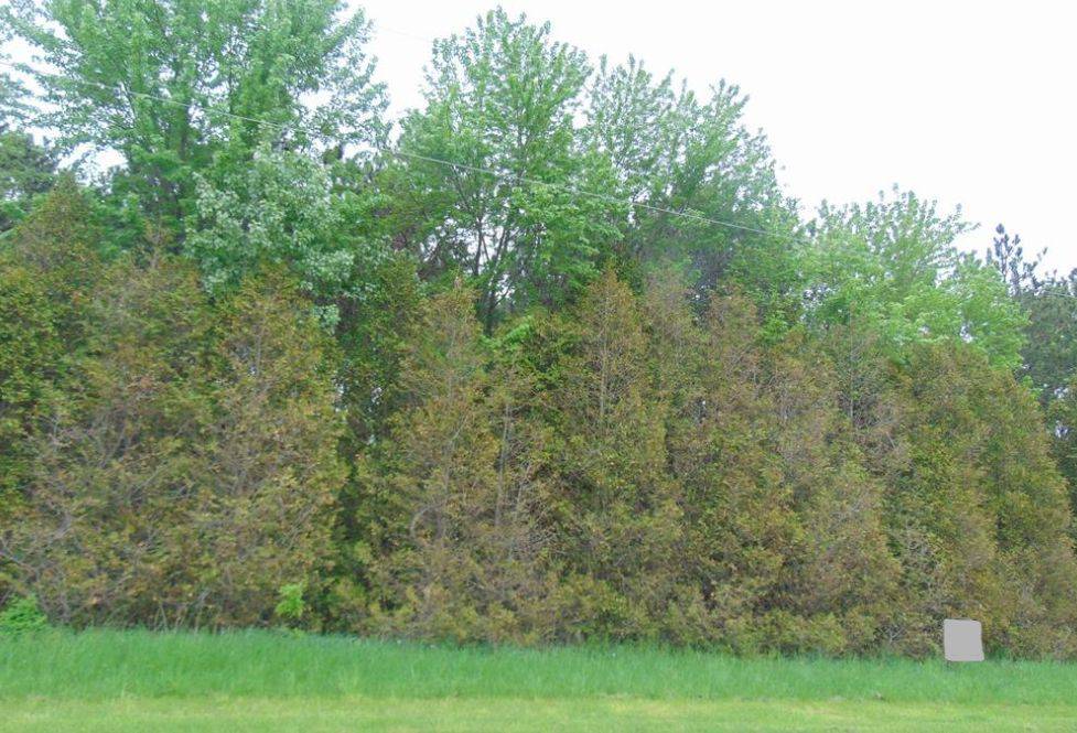 South Glengarry, ON K0C 1L0,0 GLEN ROY RD N