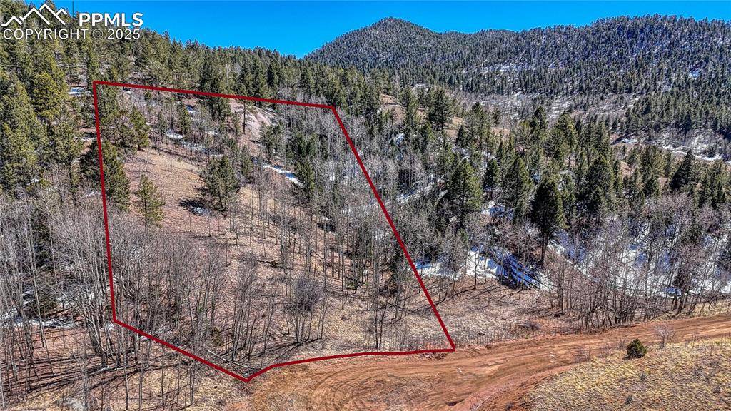 Cripple Creek, CO 80813,513 Last Dollar DR