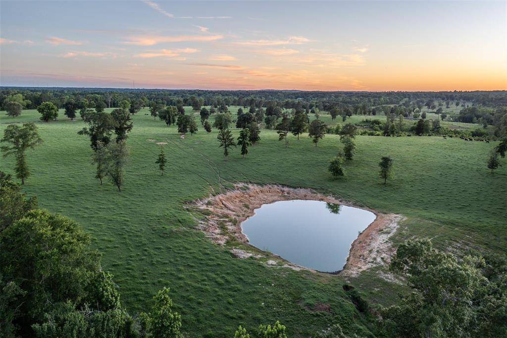Gladewater, TX 75647,00 County Road 373