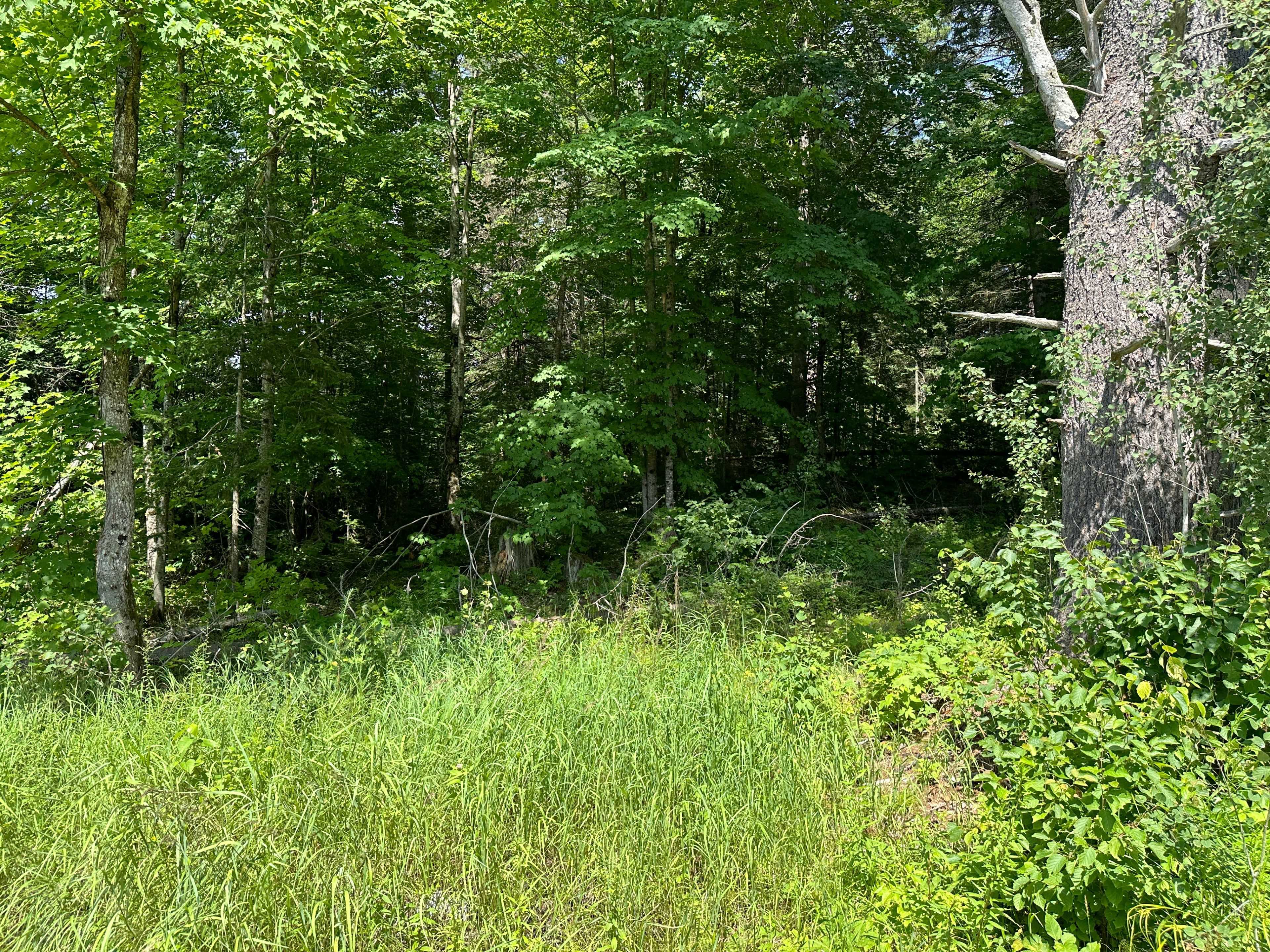 Mckellar, ON P2A 0B5,0 Blackwater RD